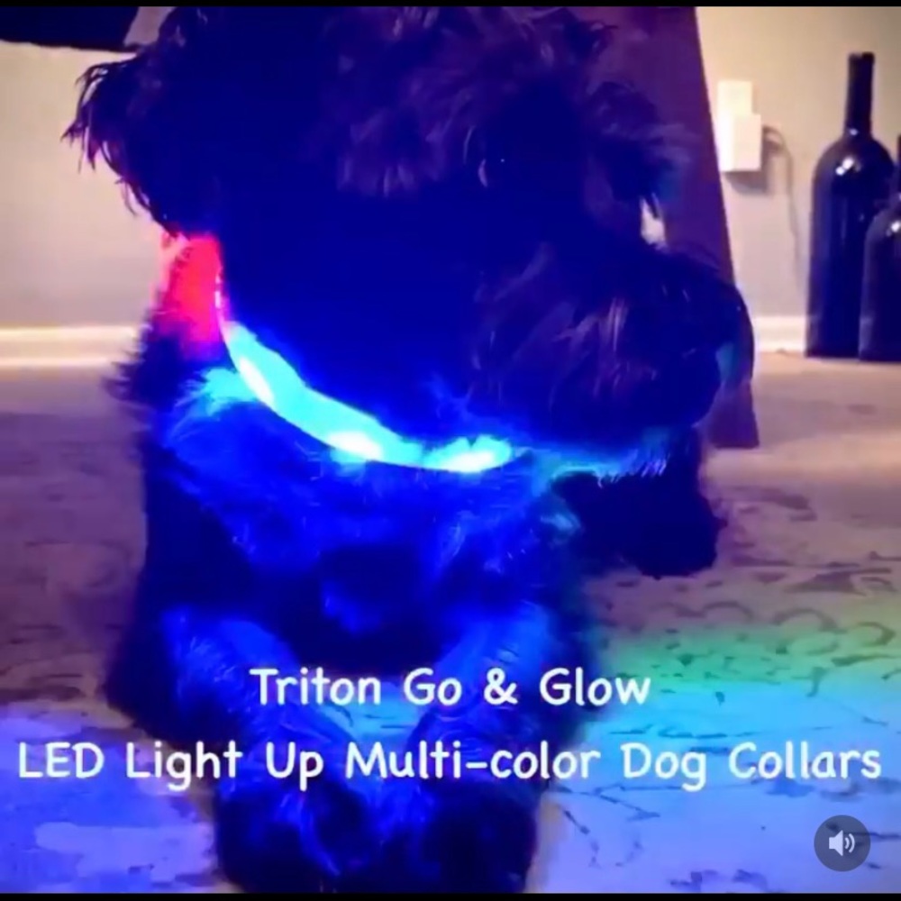 “Go and Glow” LED Light Up Multi-color Dog Collar